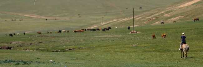 Miriam Metzger overlooking the plains of Mongolia